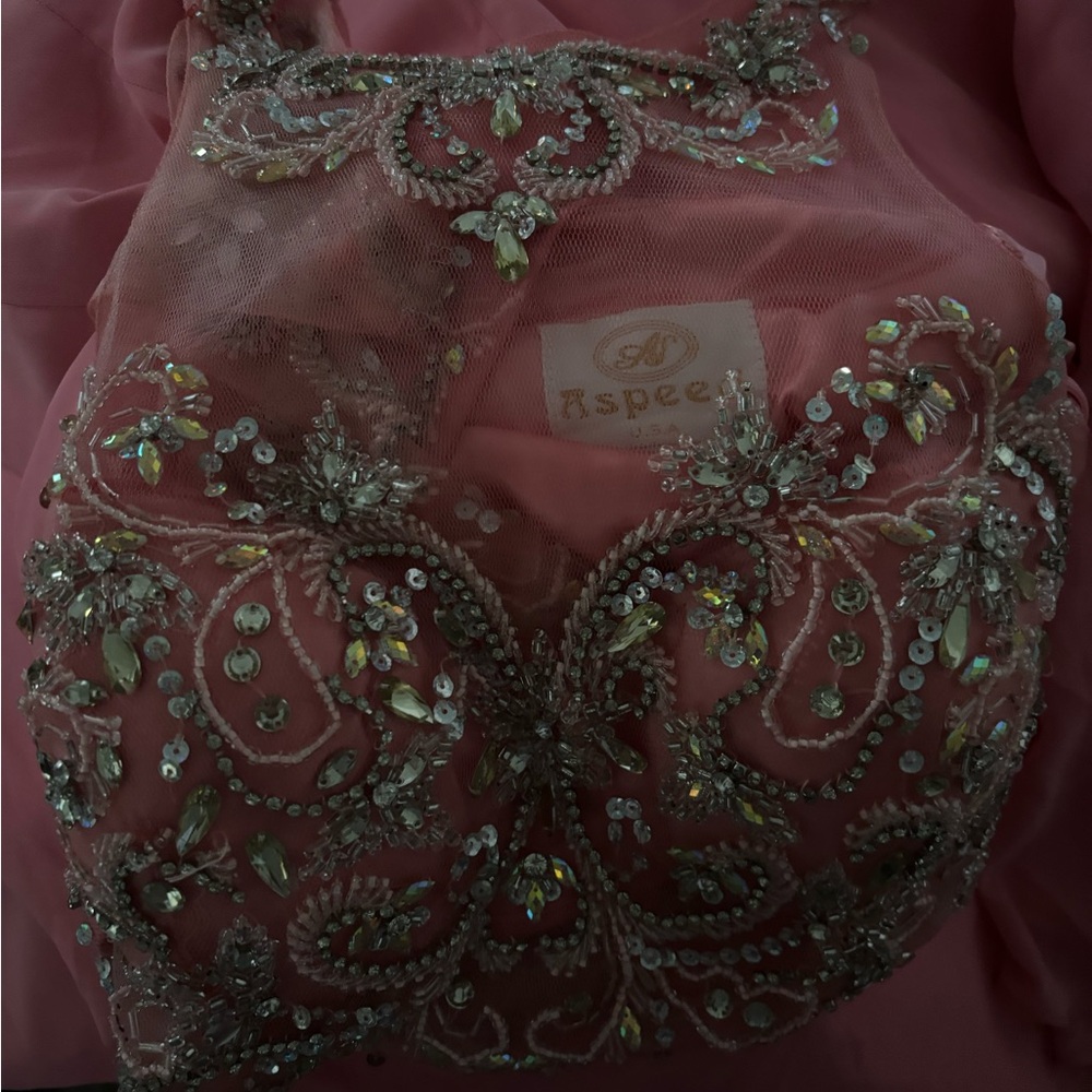 Aspeed Coral Pink Satin Dress Sheer illusion mesh with heavy embellishments